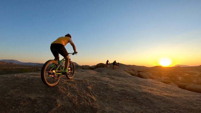 namibia-newsletter-720