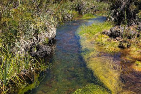 Cederberg Bike Trail Traverse Water Stream | Outland Escape