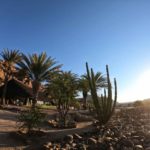 Namib Trail Bike Tour Cactus and Sunset landscape | Outland Escape