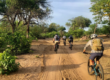 Wilderness cycling through the Central Tuli Game Reserve Mashatu - Outland Travel
