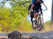 Big 5 cycle safari riding past elephant dung in Botswana and kruger - Outland Travel