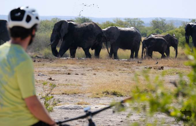 Outland Travel – Elephant mud wallow Cyclist viewing Big 5 on a bicycle in Africa - Outland Travel