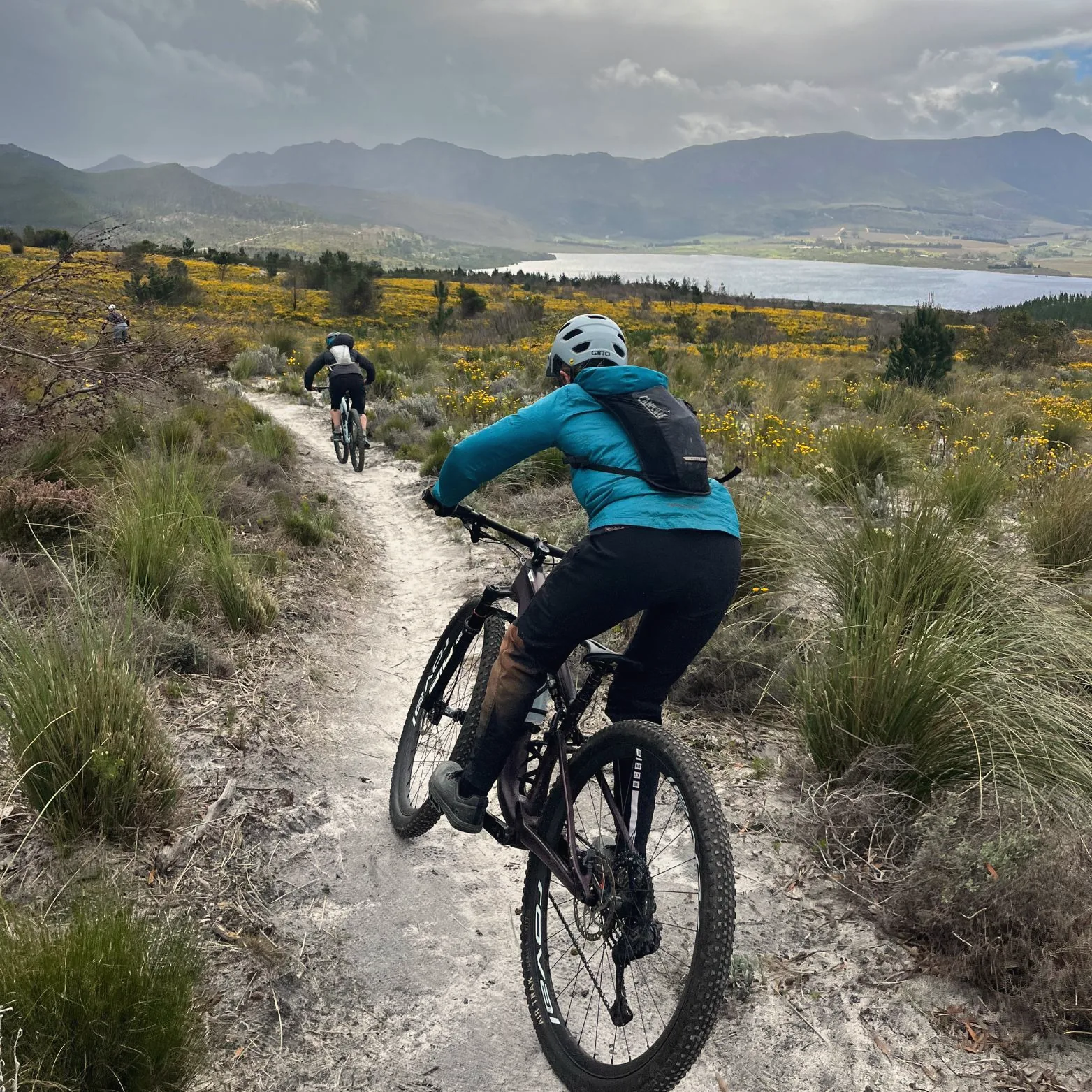 Mountain bikers riding a sandy singletrack through flowering fynbos towards a lake and mountains in the Cape.