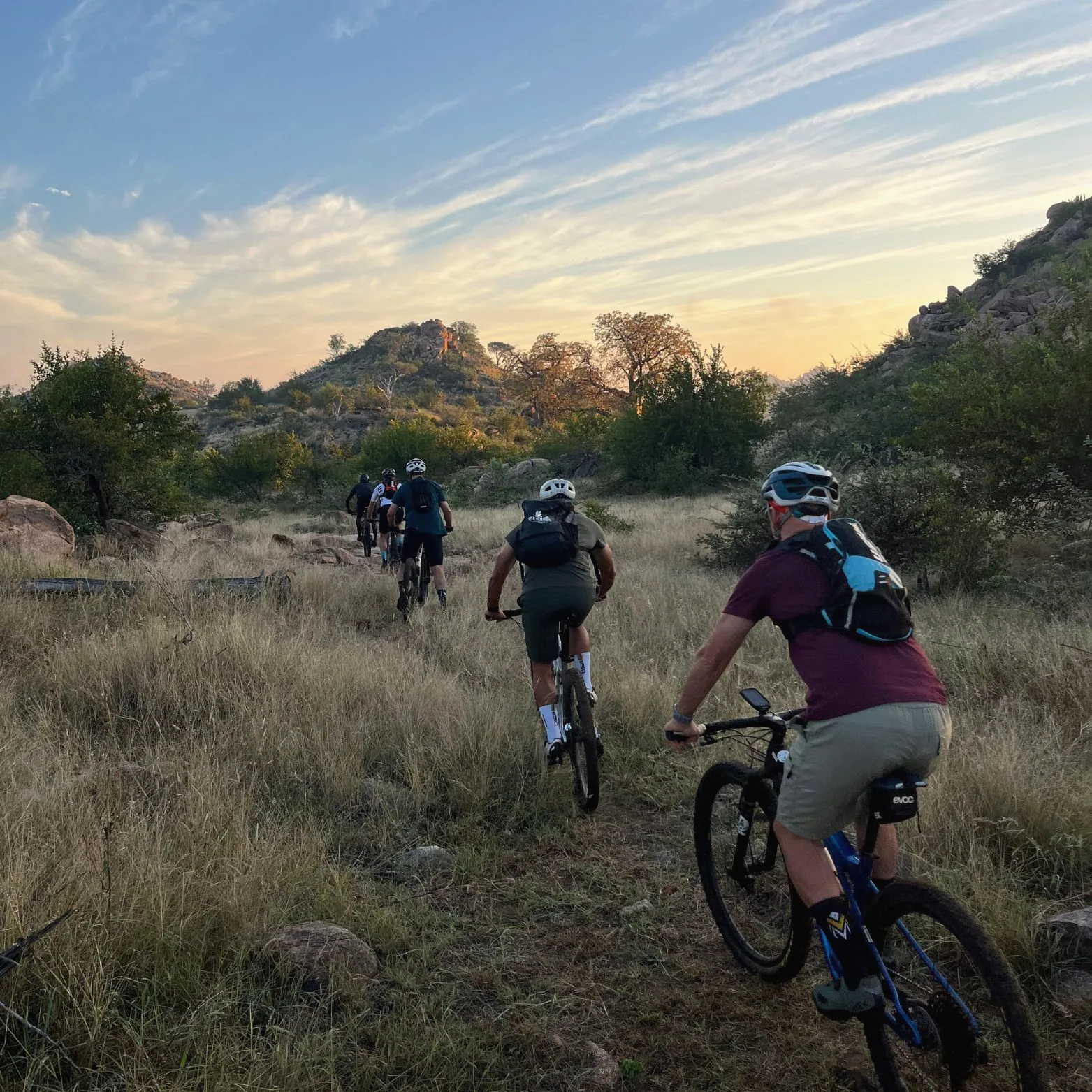 Group of mountain bikers riding single file through long grass towards granite koppies and baobab trees at golden hour.