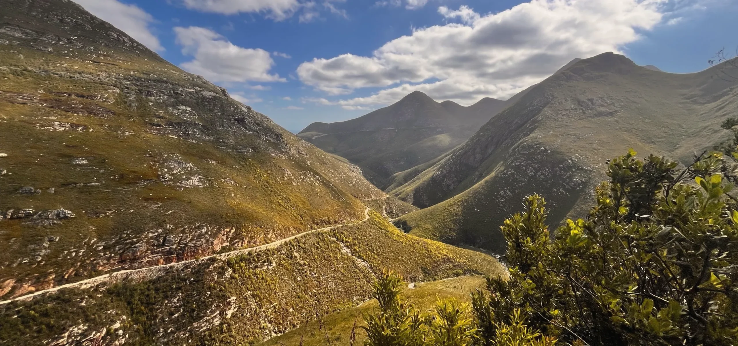 Gravel road winding along a fynbos-covered mountainside through the rugged mountain passes of the Cape.